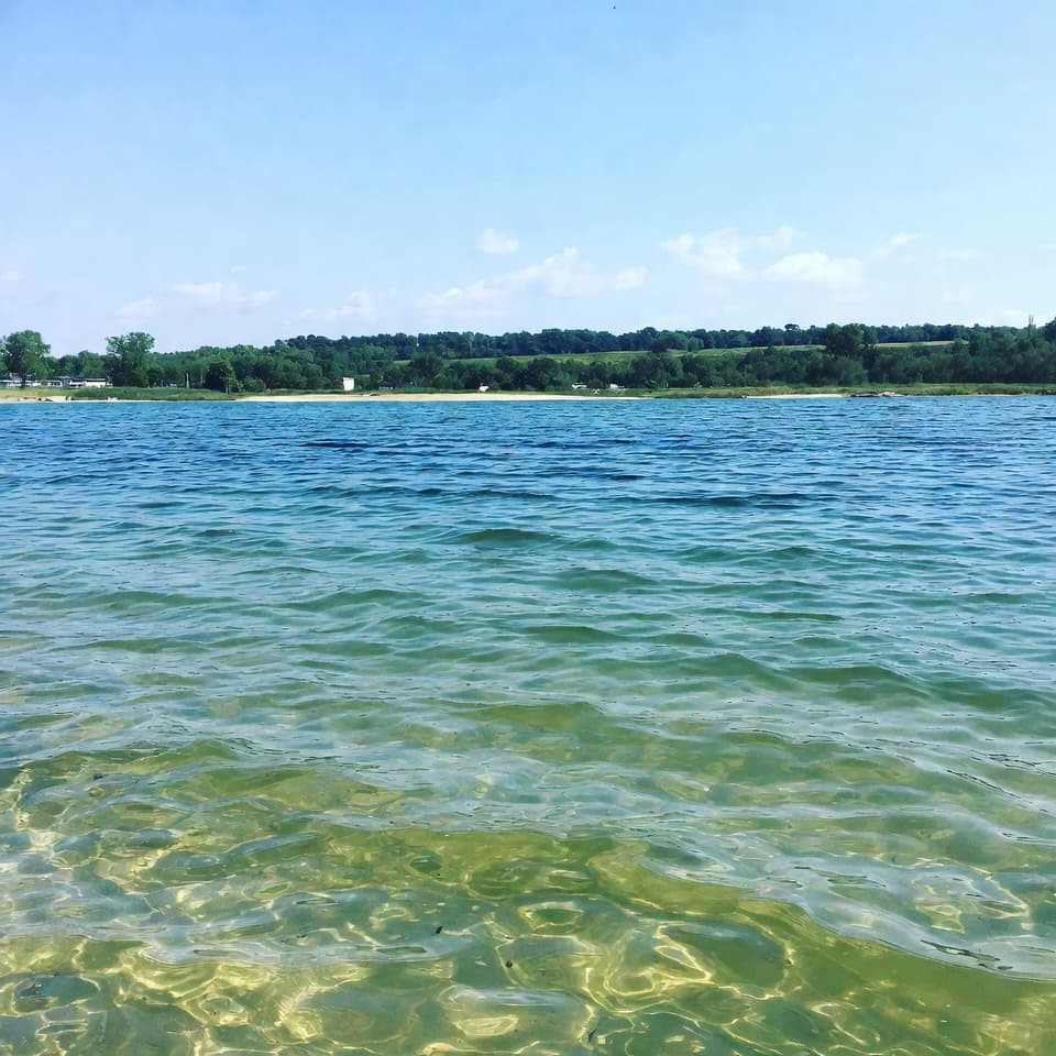 Take Me Back to Summer