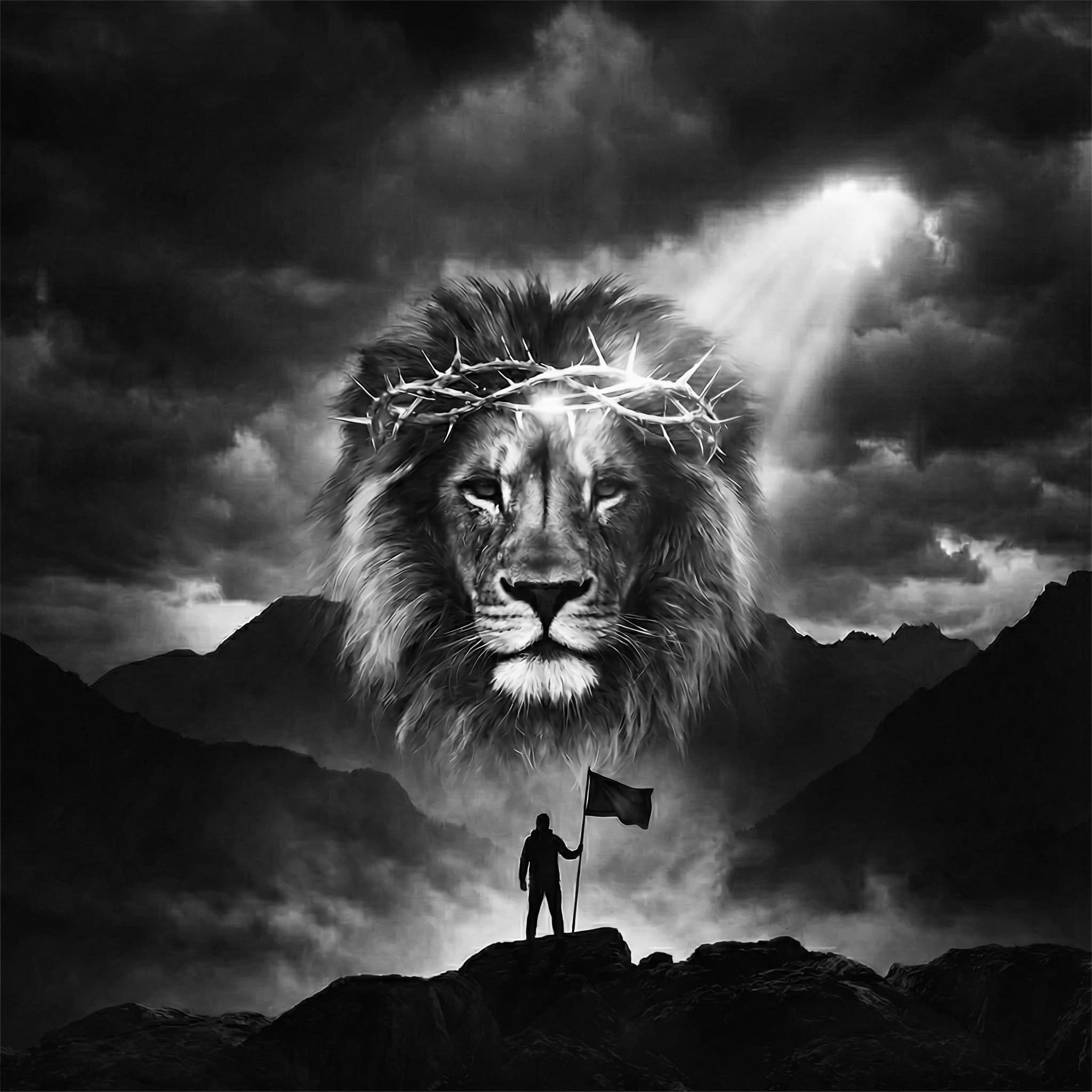 Coming On The Clouds