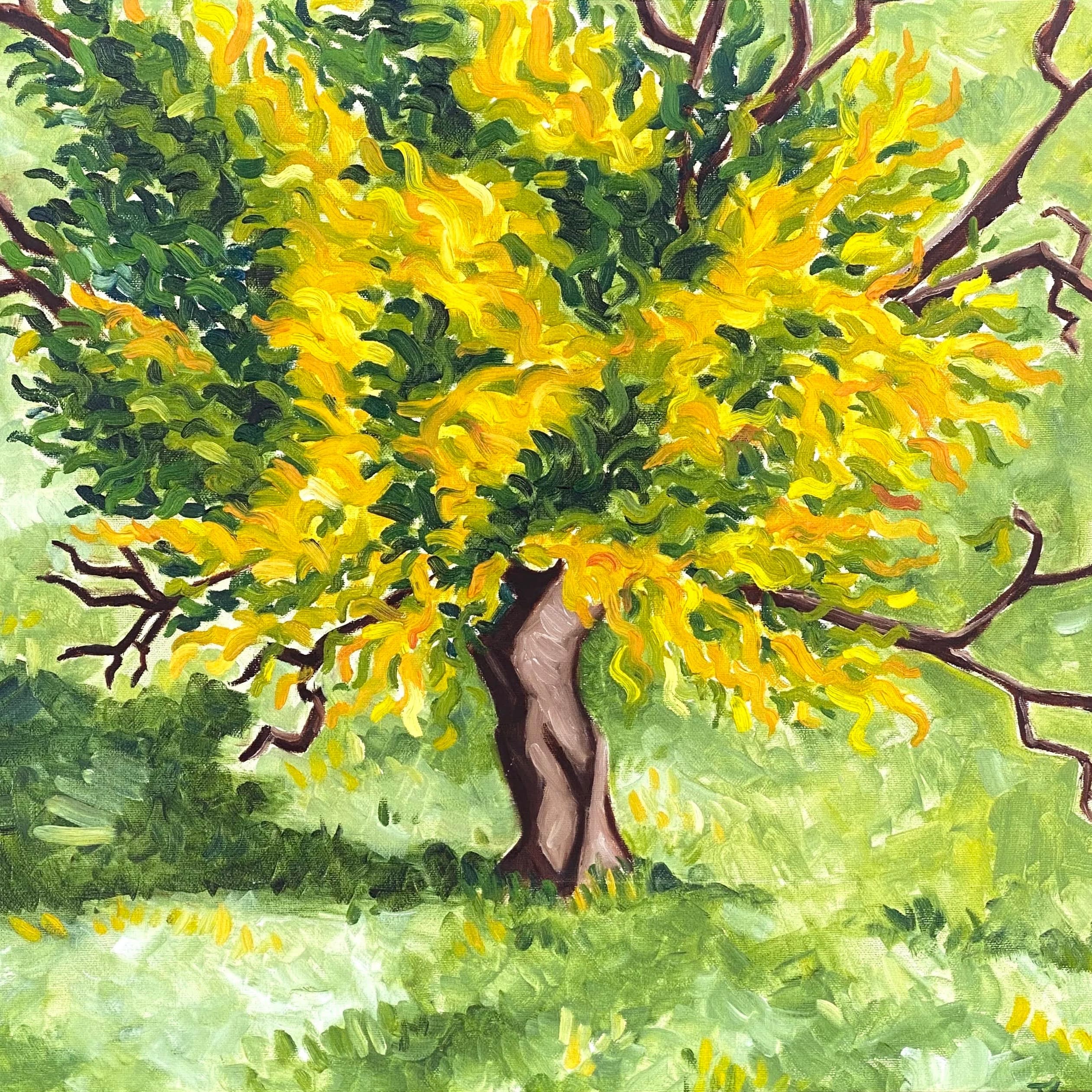 Oak of Righteousness 2