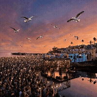 Capitola AI Optimists