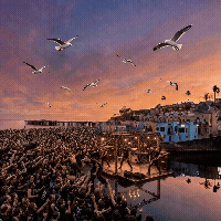 Think Local Capitola