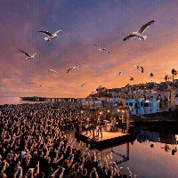 This Is Capitola