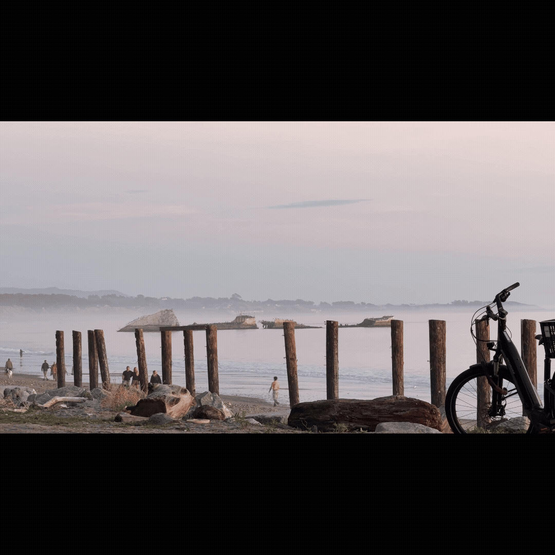 Gliding Electric Dusk Serenity