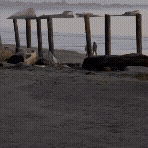 Golden Hour Concrete Carve